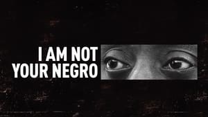 I Am Not Your Negro image 3