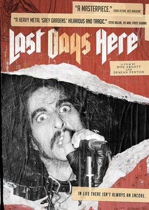 Last Days Here poster 3