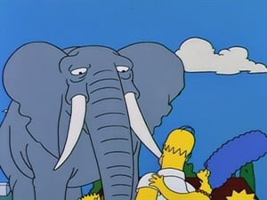 The Simpsons, Season 5 - Bart Gets an Elephant image