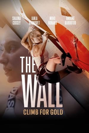 The Wall - Climb for Gold poster 1