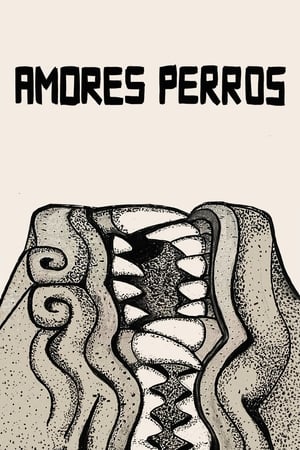 Amores Perros poster 4