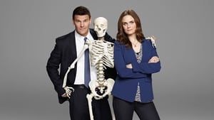 Bones, Season 4 image 1