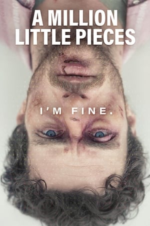 A Million Little Pieces poster 4