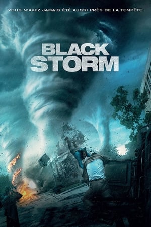 Into the Storm (2014) poster 3
