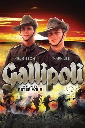 Gallipoli poster 4