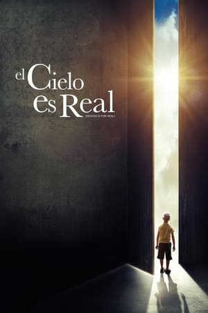 Heaven Is for Real poster 3