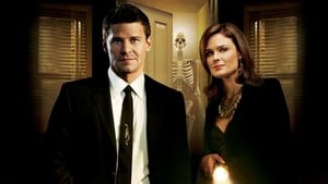 Bones, Season 6 image 0