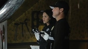 CSI: Crime Scene Investigation, Season 11 - In A Dark, Dark House image