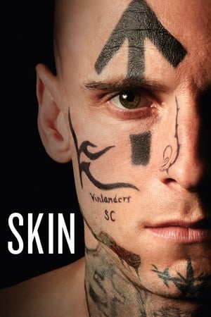 Skin poster 4
