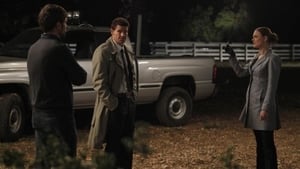 Bones, Season 5 - The Dentist in the Ditch image