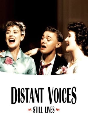 Distant Voices, Still Lives poster 2