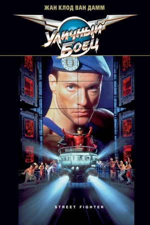 Street Fighter poster 3