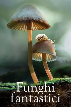 Fantastic Fungi poster 3