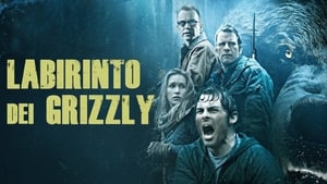 Into the Grizzly Maze image 3