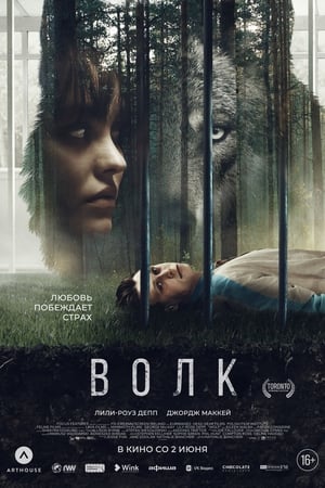 Wolf poster 2