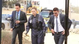 Bones, Season 12 - The New Tricks in the Old Dogs image