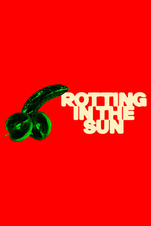 Rotting in the Sun poster 2
