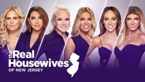 The Real Housewives of New Jersey, Season 1 image 0