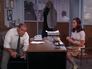 The Mary Tyler Moore Show, Season 1 - Love is All Around image