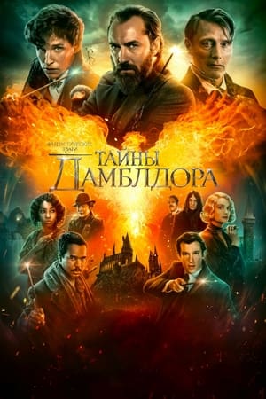 Fantastic Beasts: The Secrets of Dumbledore poster 3