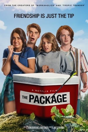 The Package poster 4