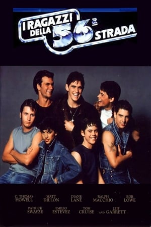 The Outsiders (1983) poster 1