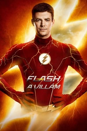 The Flash, Season 5 poster 1