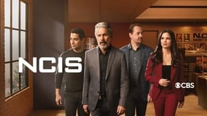 NCIS, Season 13 image 2