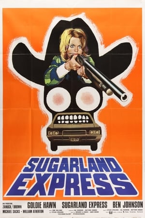 The Sugarland Express poster 3
