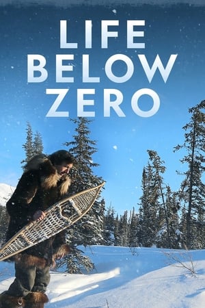 Life Below Zero, Season 4 poster 0