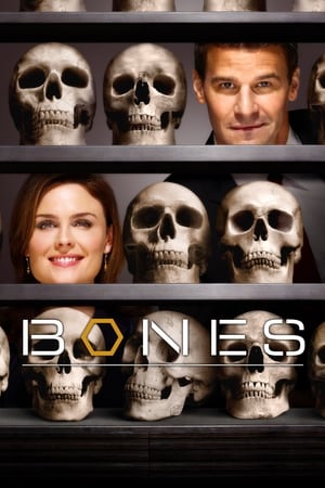Bones, Season 2 poster 3