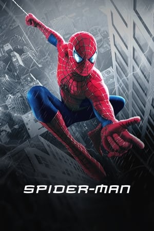 Spider-Man poster 1