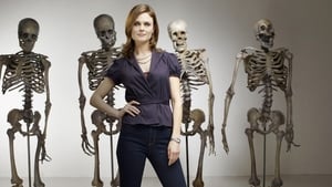 Bones, Season 10 image 1