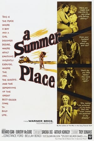 A Summer Place poster 1