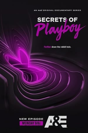 Secrets of Playboy poster 2