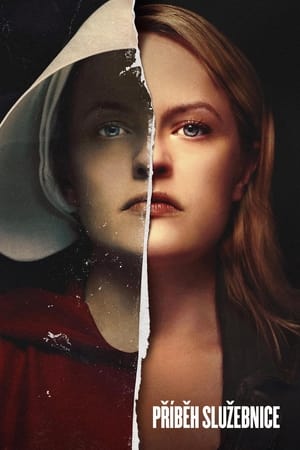 The Handmaid's Tale, Season 1 poster 1