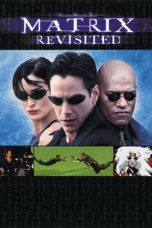 The Matrix: Revisited poster 1