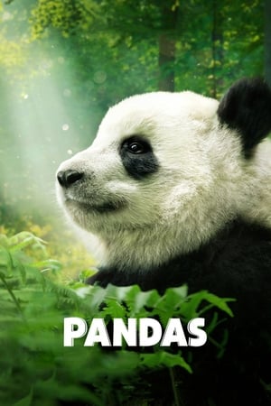 Pandas (2018) poster 4