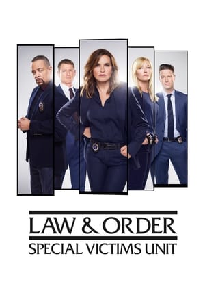 Law & Order: SVU (Special Victims Unit), Season 6 poster 2