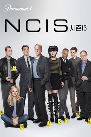 NCIS, Season 10 poster 3