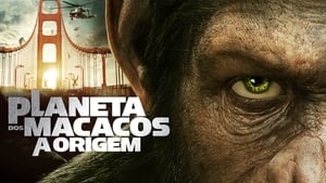 Rise of the Planet of the Apes image 3