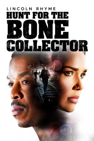 Lincoln Rhyme: Hunt for the Bone Collector, Season 1 poster 2