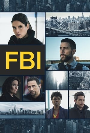 FBI, Season 6 poster 1
