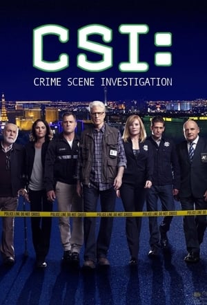 CSI: Crime Scene Investigation, Season 13 poster 0