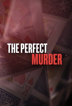 The Perfect Murder, Season 3 poster 0
