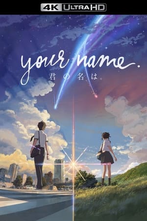 Your Name. (Dubbed) poster 4