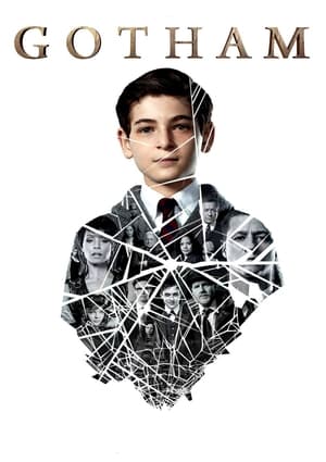 Gotham, Season 1 poster 3