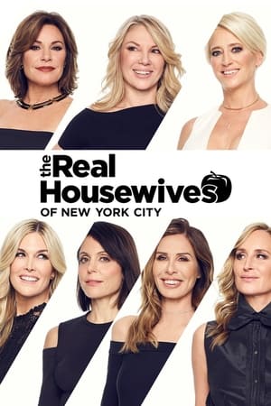 The Real Housewives of New York City, Season 9 poster 2