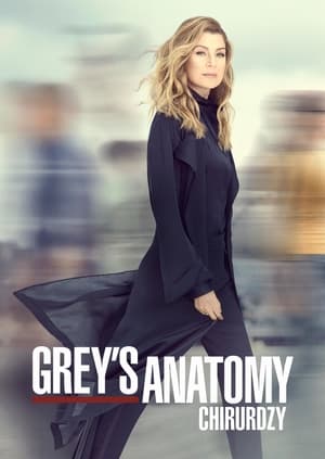 Grey's Anatomy, Season 9 poster 1