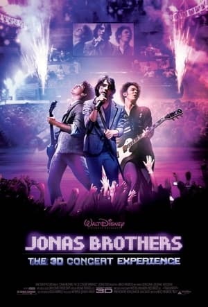 Jonas Brothers Concert poster 3
